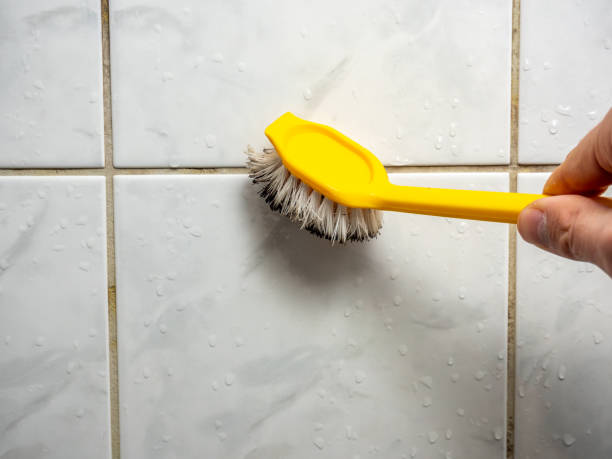 Best Mold Removal Process  in Bethel Manor, VA