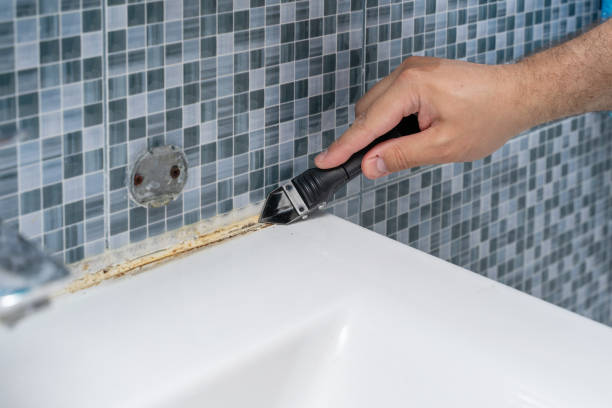 Best Mold Damage Repair  in Bethel Manor, VA